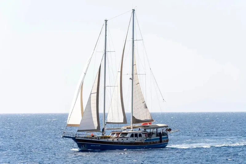 Gulet Özel yapım gulet · Bodrum · 2022